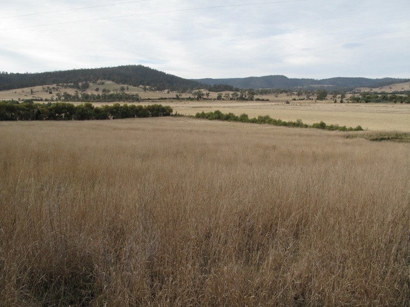 37 Leprena Road, Orielton TAS 7172