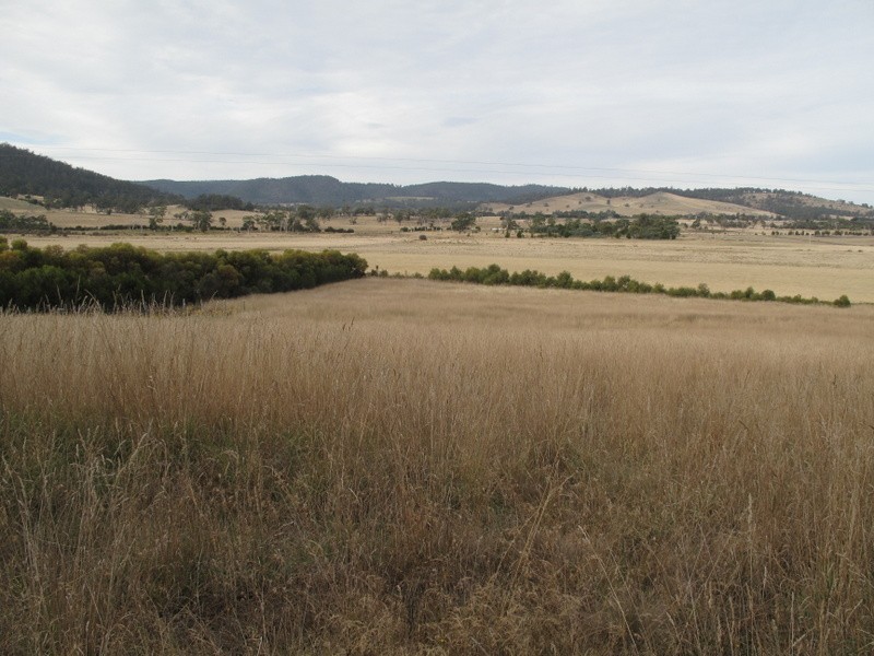 37 Leprena Road, Orielton TAS 7172