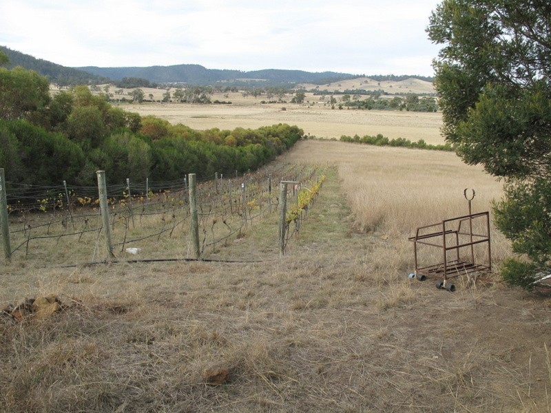 37 Leprena Road, Orielton TAS 7172