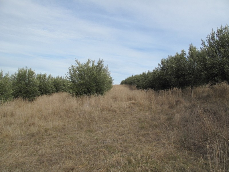 37 Leprena Road, Orielton TAS 7172