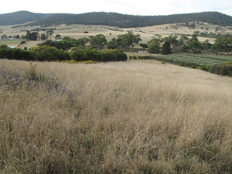 37 Leprena Road, Orielton TAS 7172