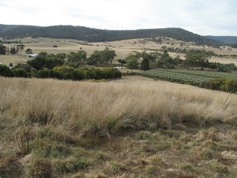 37 Leprena Road, Orielton TAS 7172