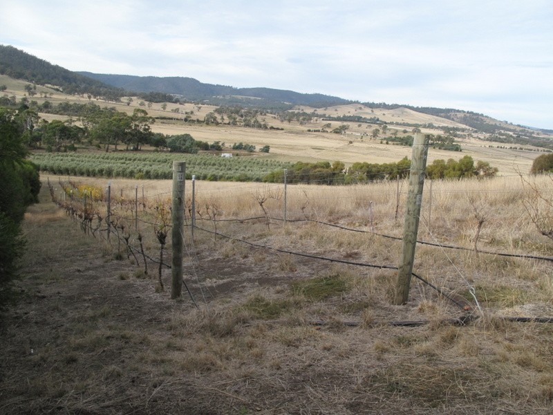 37 Leprena Road, Orielton TAS 7172