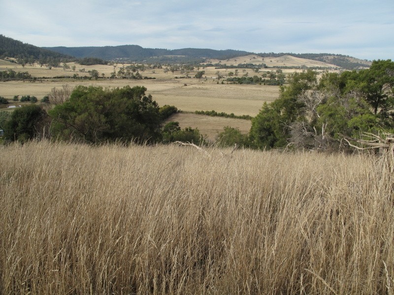 37 Leprena Road, Orielton TAS 7172