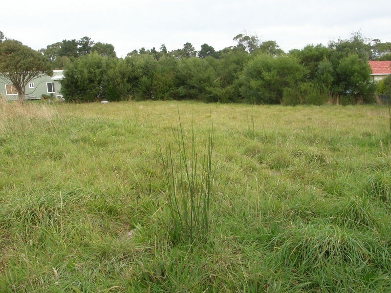 14 Plenar Street, Carlton TAS 7173