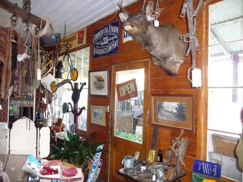 11 Marion Bay Road, Copping TAS 7174