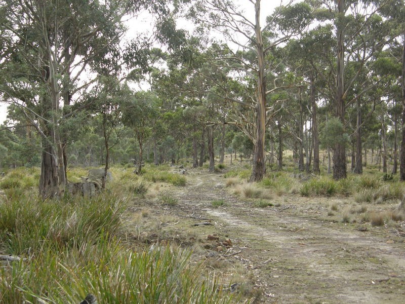 Lot 1 Montgomerys Road, Runnymede TAS 7190