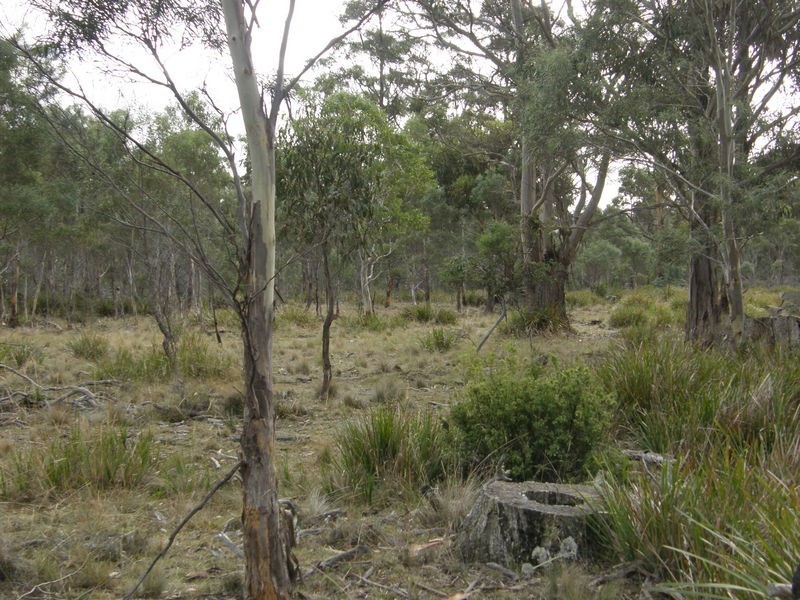 Lot 1 Montgomerys Road, Runnymede TAS 7190