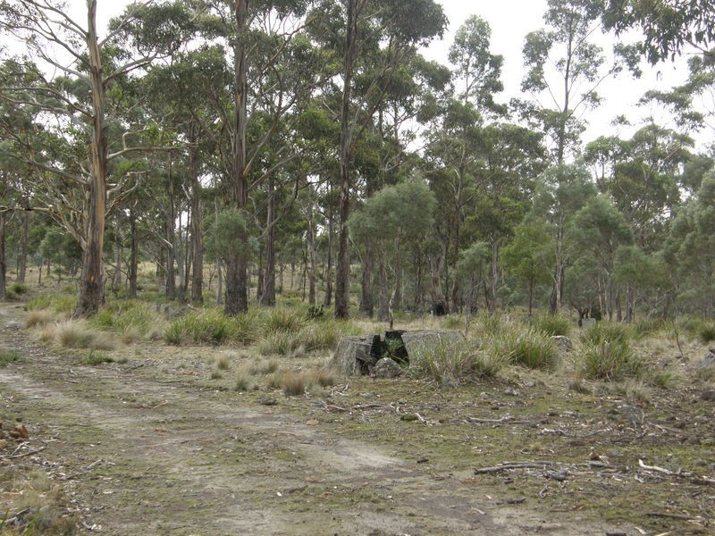 Lot 1 Montgomerys Road, Runnymede TAS 7190