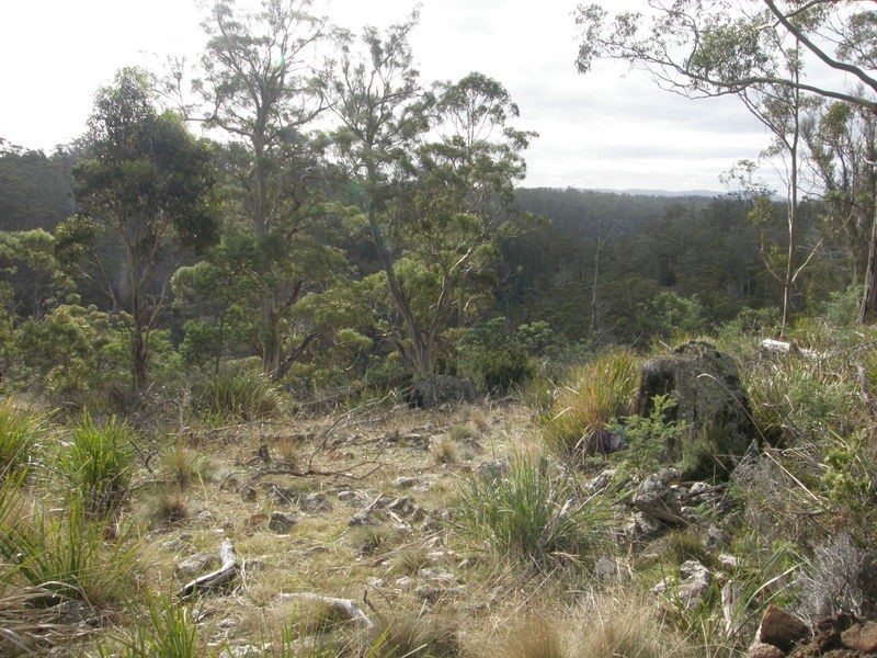 Lot 1 Montgomerys Road, Runnymede TAS 7190