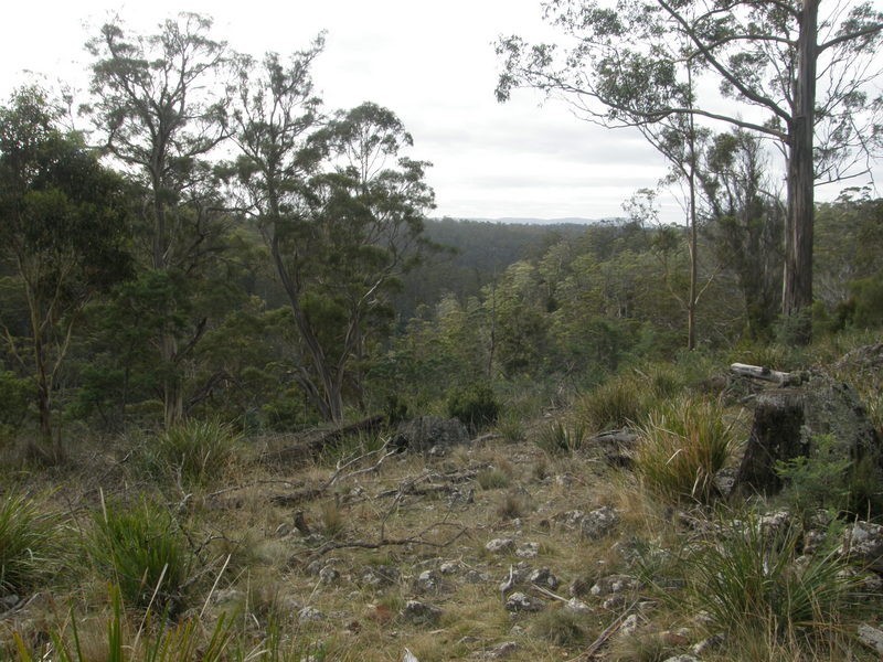 Lot 1 Montgomerys Road, Runnymede TAS 7190