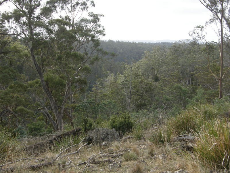 Lot 1 Montgomerys Road, Runnymede TAS 7190