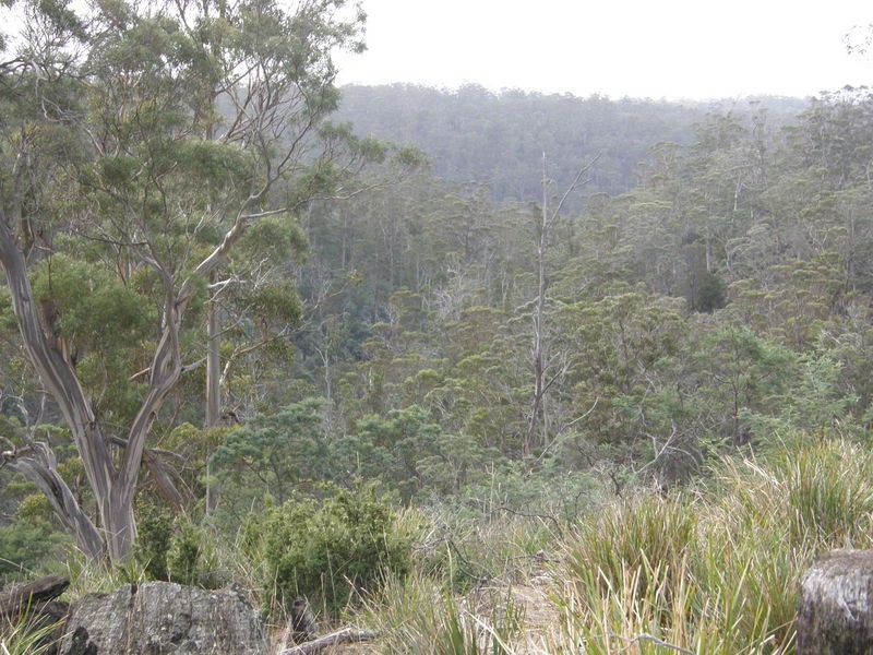 Lot 1 Montgomerys Road, Runnymede TAS 7190