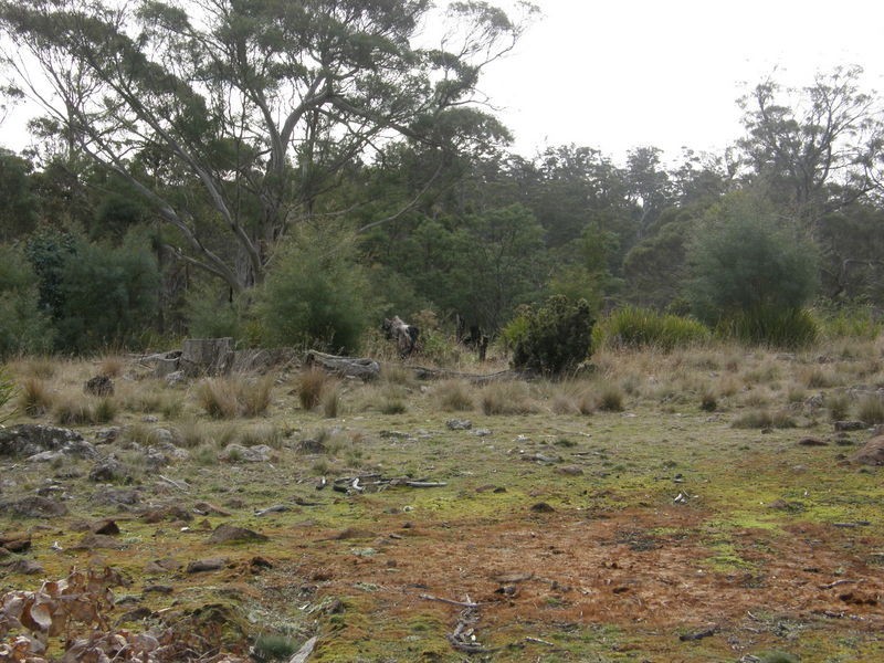 Lot 1 Montgomerys Road, Runnymede TAS 7190