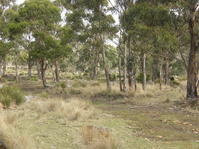 Lot 1 Montgomerys Road, Runnymede TAS 7190