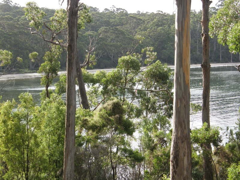 Cabin 15 Stewarts Bay Lodge, Port Arthur TAS 7182