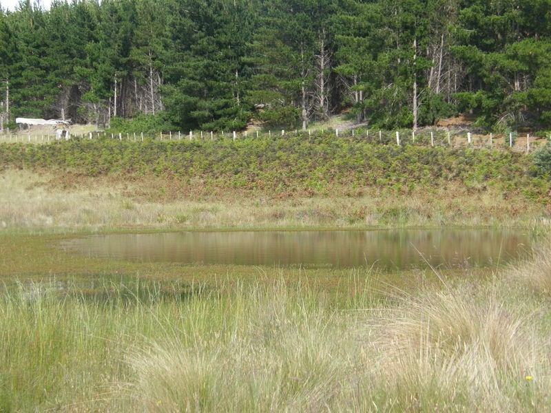 759 Tin Pot Marsh Road, Stonehenge TAS 7120