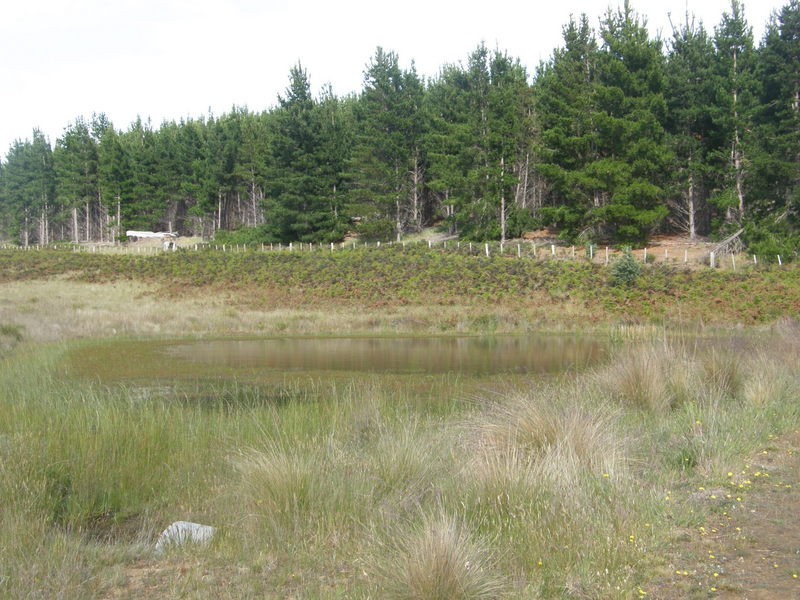 759 Tin Pot Marsh Road, Stonehenge TAS 7120