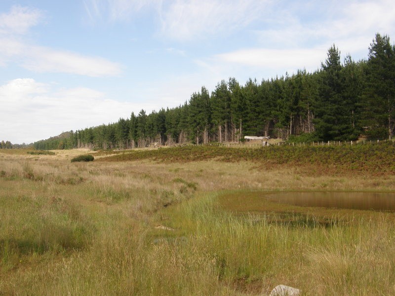 759 Tin Pot Marsh Road, Stonehenge TAS 7120