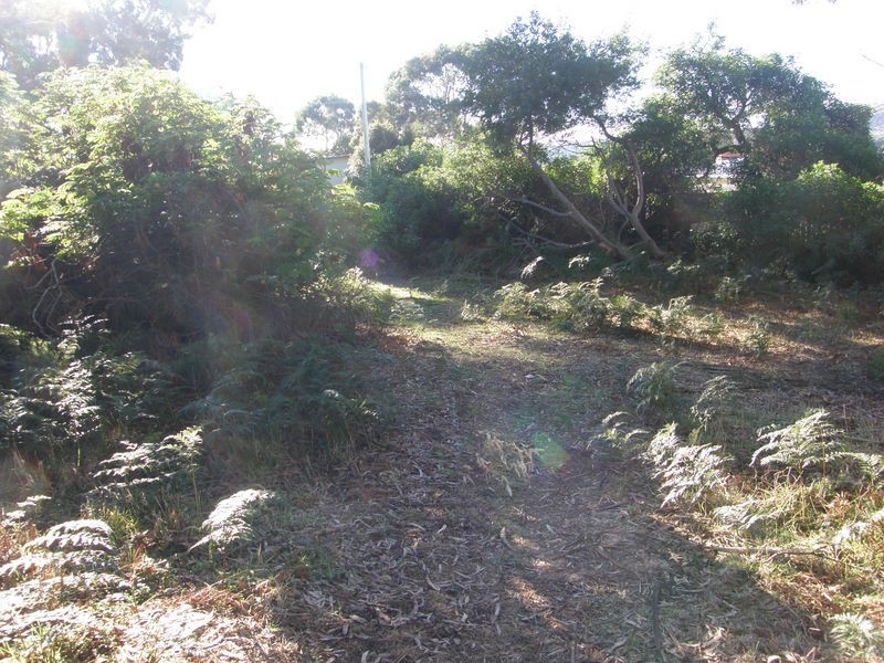 2 Falcon Street, Primrose Sands TAS 7173