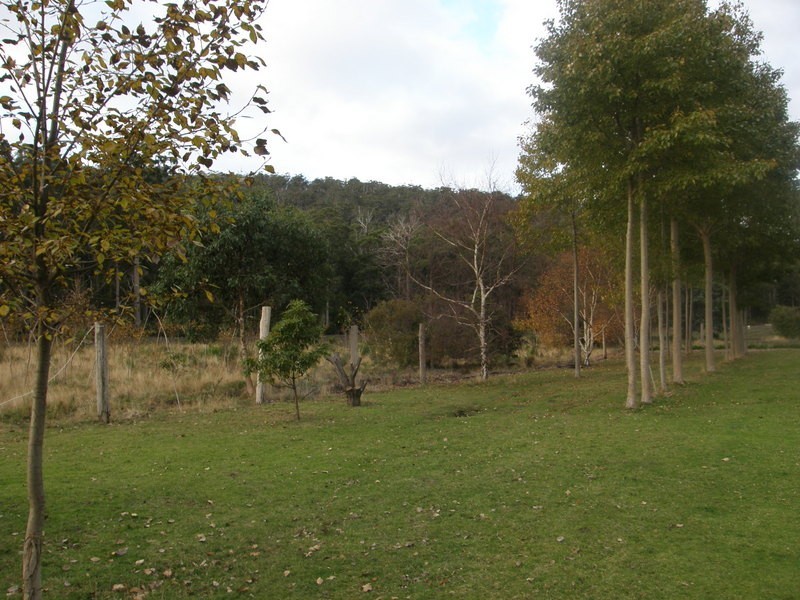 RA209 White Beach Road, White Beach TAS 7184