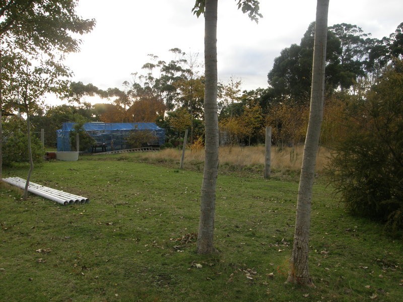 RA209 White Beach Road, White Beach TAS 7184