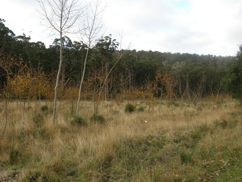 RA209 White Beach Road, White Beach TAS 7184