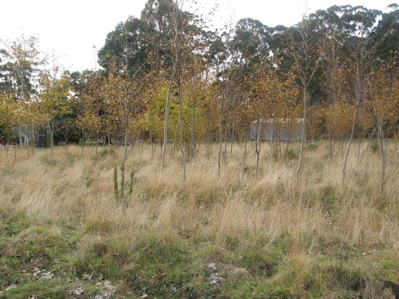 RA209 White Beach Road, White Beach TAS 7184