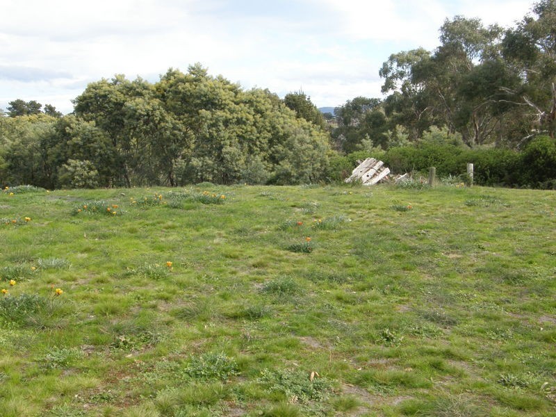 6 Chaffeys Drive, Dodges Ferry TAS 7173