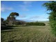 87 Pearces Road, Pawleena TAS 7172