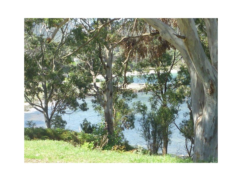 46 Apex Point Road, White Beach TAS 7184