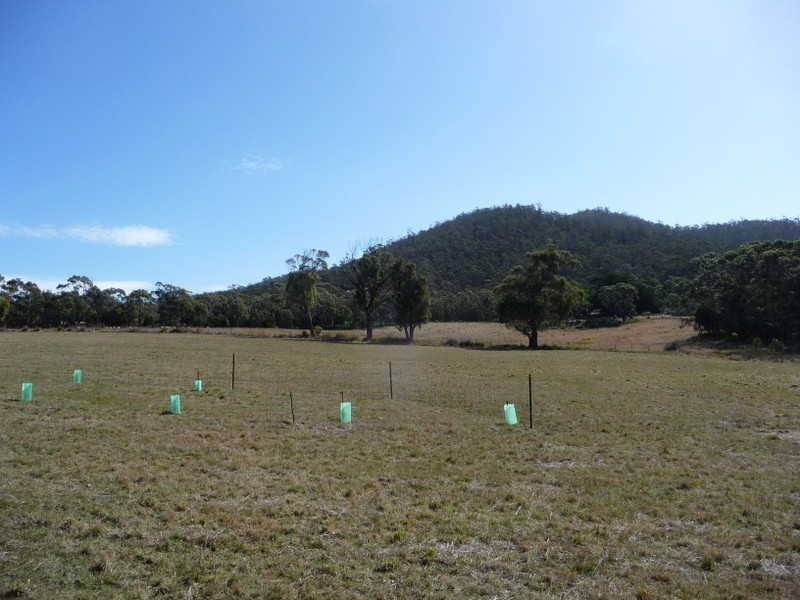 78 Arthur Highway, Dunalley TAS 7177