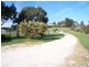 121 Pawleena Road, Sorell TAS 7172