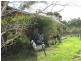 121 Pawleena Road, Sorell TAS 7172
