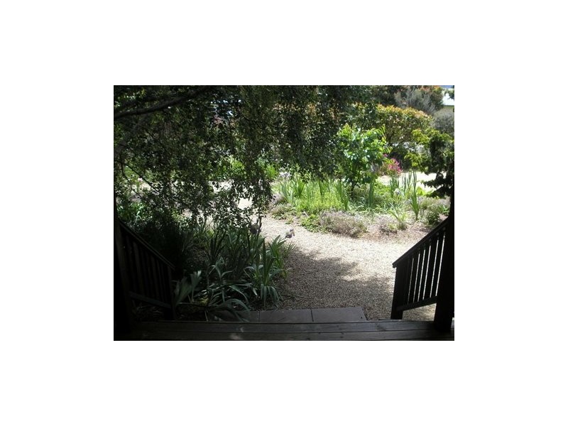 2 Kestie Ave, Port Arthur TAS 7182