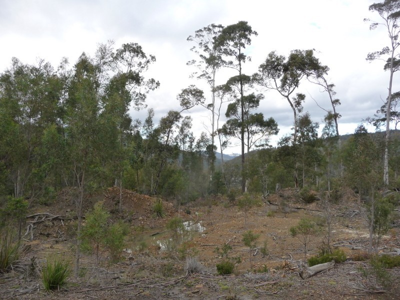 Lot 1 Nelsons Tier Road, Nugent TAS 7172