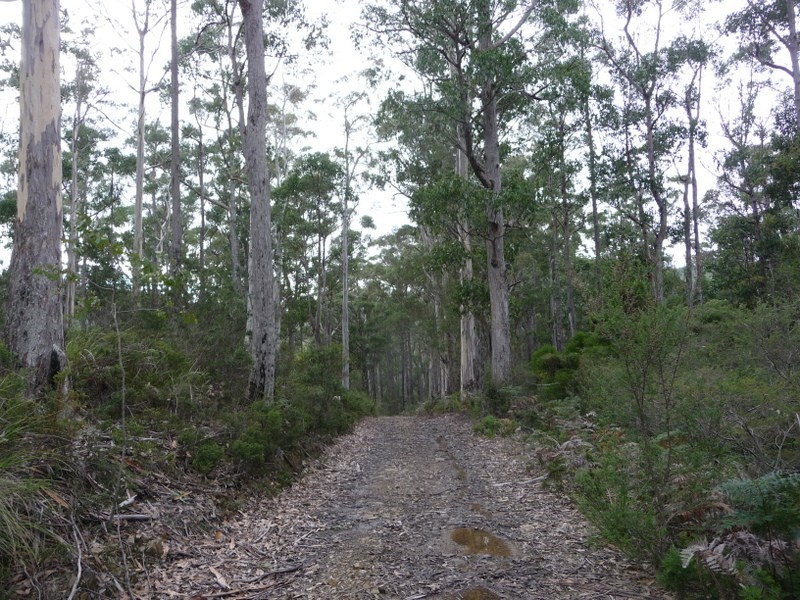 Lot 1 Nelsons Tier Road, Nugent TAS 7172