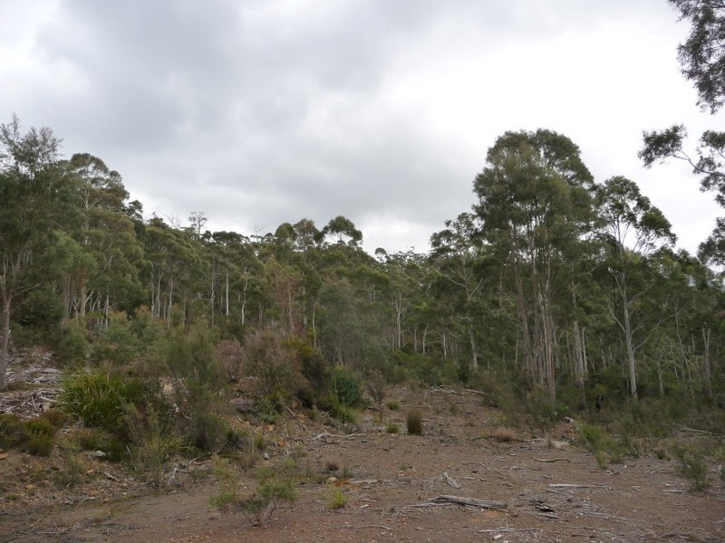 Lot 1 Nelsons Tier Road, Nugent TAS 7172