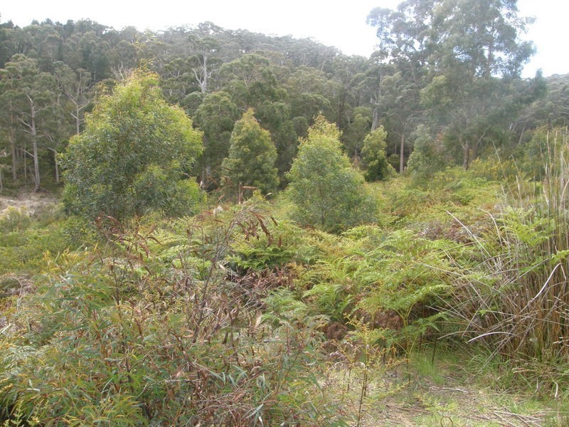 Lot 22 Jennings Crescent, Nubeena TAS 7184