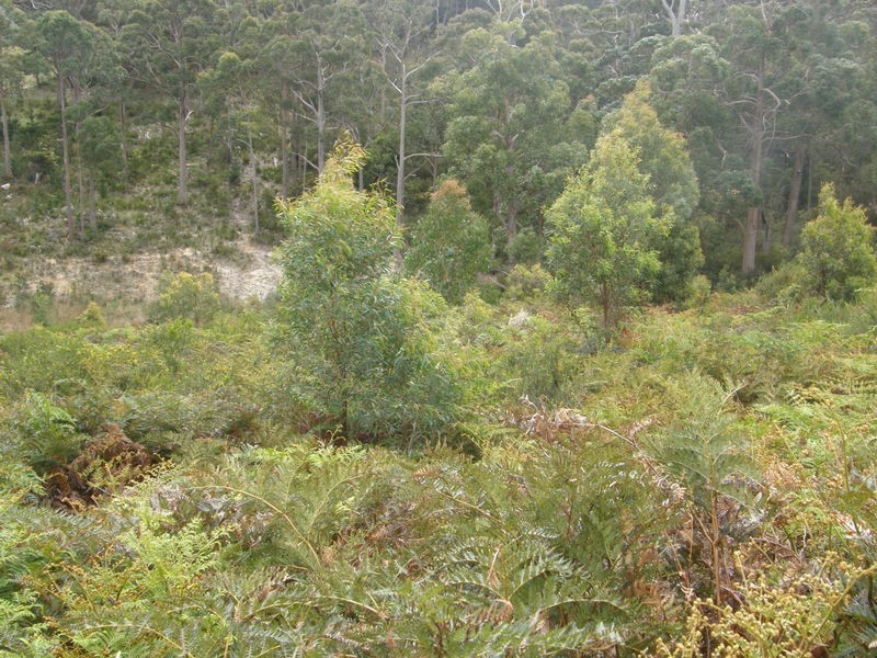 Lot 22 Jennings Crescent, Nubeena TAS 7184