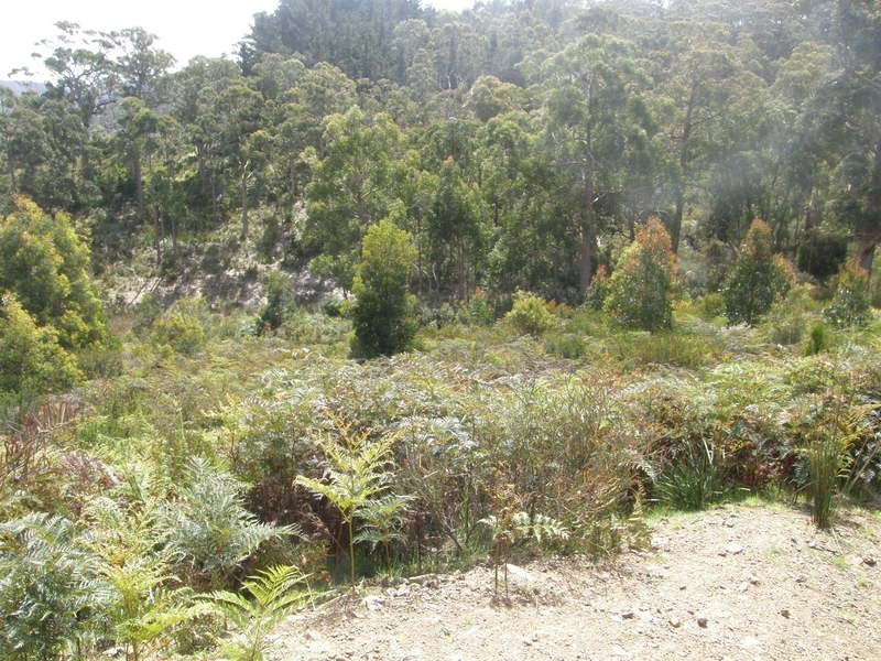 Lot 22 Jennings Crescent, Nubeena TAS 7184