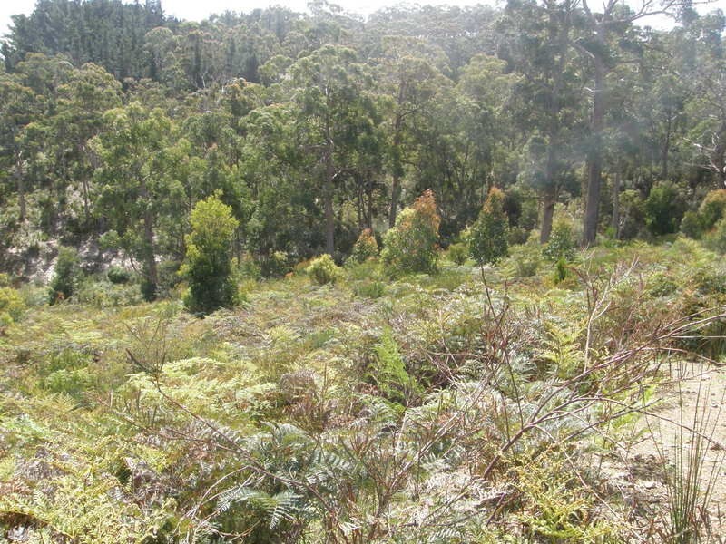 Lot 21 Mundy Court, Nubeena TAS 7184