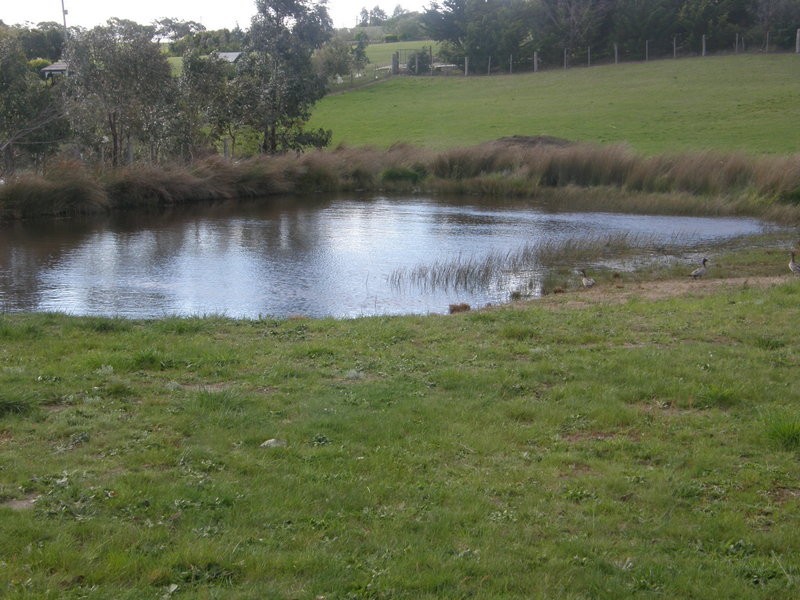 39 Quarry Road, Forcett TAS 7173