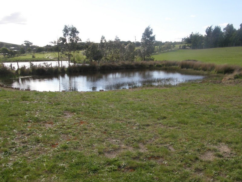 39 Quarry Road, Forcett TAS 7173