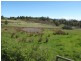 Lot 14 Old Forcett Road, Forcett TAS 7173