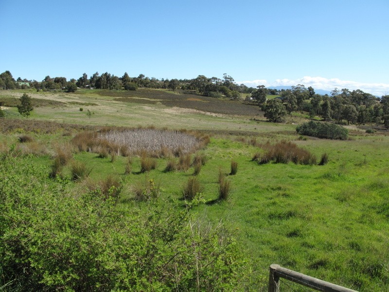 Lot 14 Old Forcett Road, Forcett TAS 7173