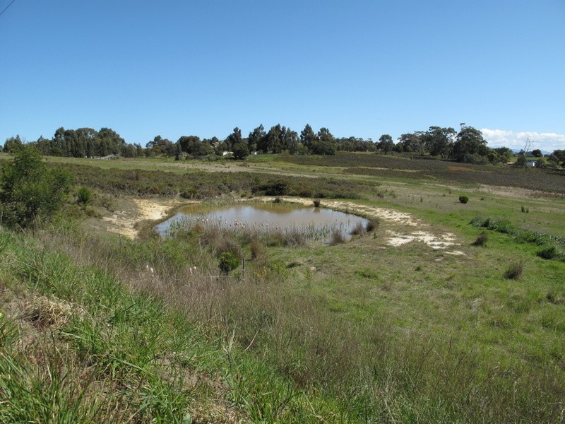 Lot 14 Old Forcett Road, Forcett TAS 7173