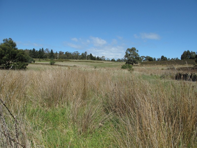 Lot 14 Old Forcett Road, Forcett TAS 7173