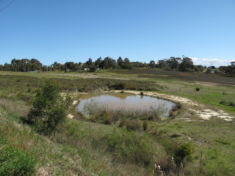 Lot 14 Old Forcett Road, Forcett TAS 7173