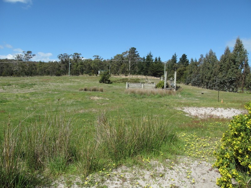 Lot 14 Old Forcett Road, Forcett TAS 7173